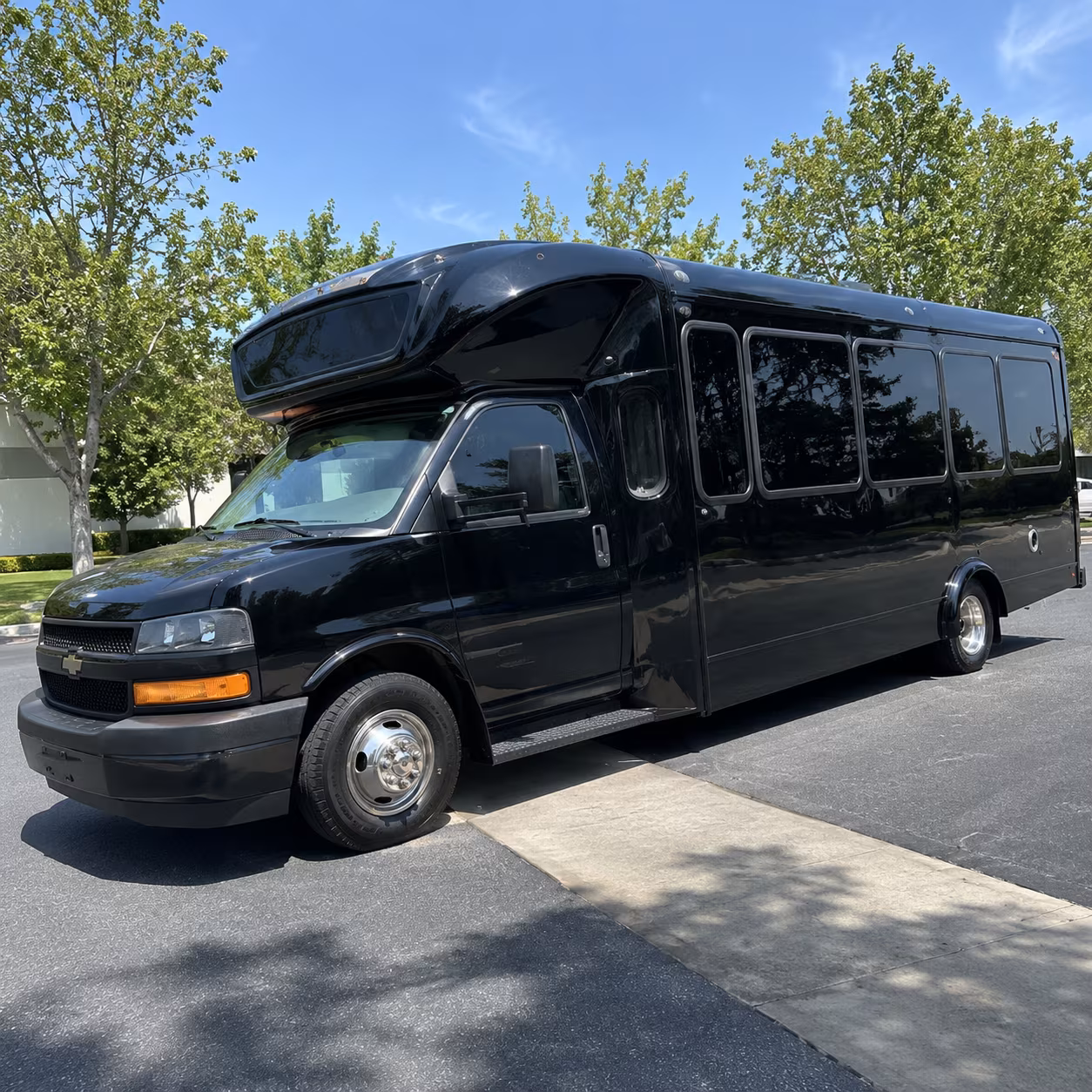 elyria 15 passenger party bus
