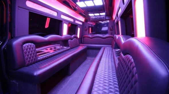 elyria sprinter limo rental inside